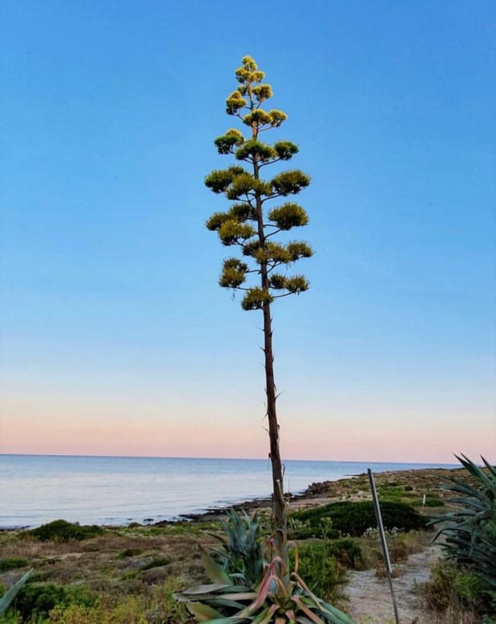 Gallipoli Mancaversa Futura Vacanza Andrea מרינה די מנקוורסה מראה חיצוני תמונה